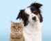 Kedi ve Köpeklerde Eklem Sağlığını Korumanın Yolları